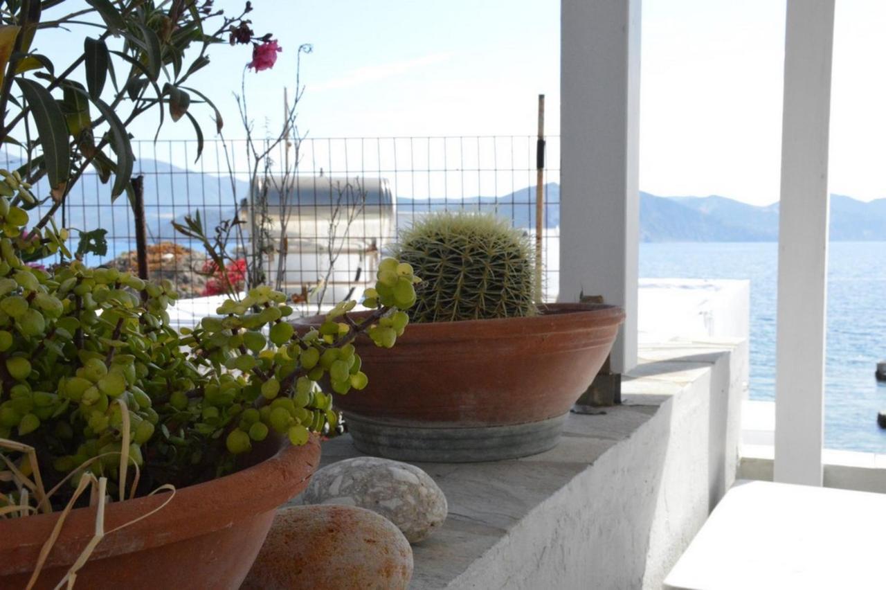Thalassophile Eco House Villa Plaka  Exteriör bild